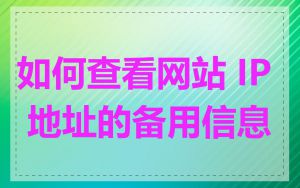 如何查看网站 IP 地址的备用信息