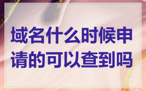 域名什么时候申请的可以查到吗
