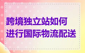 跨境独立站如何进行国际物流配送