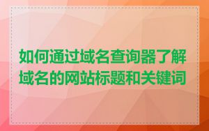 如何通过域名查询器了解域名的网站标题和关键词