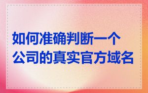 如何准确判断一个公司的真实官方域名