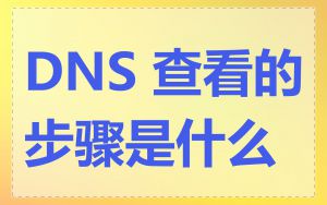 DNS 查看的步骤是什么