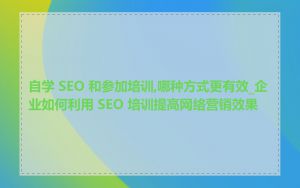 自学 SEO 和参加培训,哪种方式更有效_企业如何利用 SEO 培训提高网络营销效果