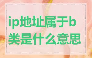 ip地址属于b类是什么意思