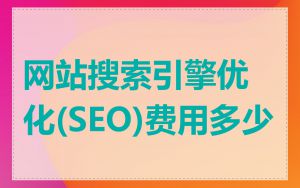 网站搜索引擎优化(SEO)费用多少