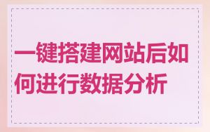 一键搭建网站后如何进行数据分析