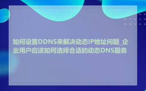 如何设置DDNS来解决动态IP地址问题_企业用户应该如何选择合适的动态DNS服务