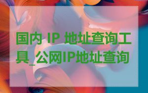 国内 IP 地址查询工具_公网IP地址查询