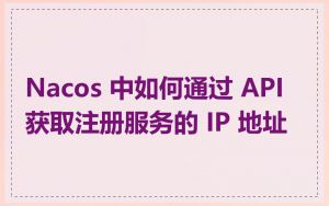 Nacos 中如何通过 API 获取注册服务的 IP 地址