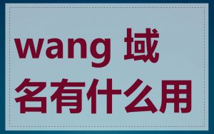 wang 域名有什么用