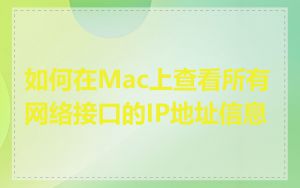 如何在Mac上查看所有网络接口的IP地址信息