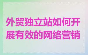 外贸独立站如何开展有效的网络营销