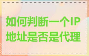 如何判断一个IP地址是否是代理