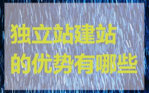 独立站建站的优势有哪些