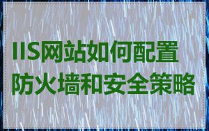 IIS网站如何配置防火墙和安全策略
