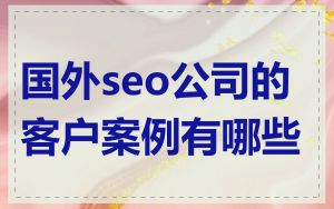 国外seo公司的客户案例有哪些