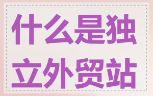 什么是独立外贸站