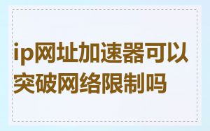 ip网址加速器可以突破网络限制吗