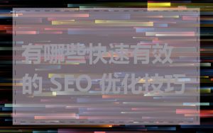 有哪些快速有效的 SEO 优化技巧