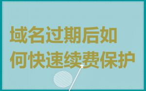 域名过期后如何快速续费保护