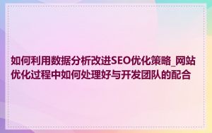 如何利用数据分析改进SEO优化策略_网站优化过程中如何处理好与开发团队的配合