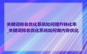 关键词排名优化系统如何提升转化率_关键词排名优化系统如何做内容优化
