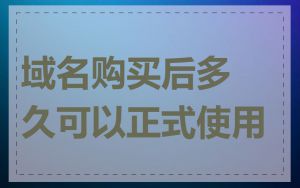 域名购买后多久可以正式使用