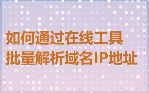 如何通过在线工具批量解析域名IP地址