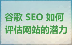 谷歌 SEO 如何评估网站的潜力
