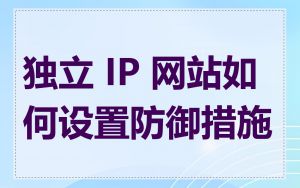 独立 IP 网站如何设置防御措施