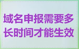 域名申报需要多长时间才能生效