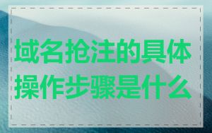 域名抢注的具体操作步骤是什么