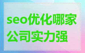 seo优化哪家公司实力强