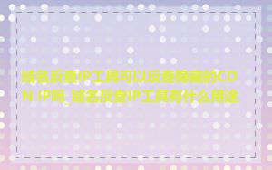 域名反查IP工具可以反查隐藏的CDN IP吗_域名反查IP工具有什么用途