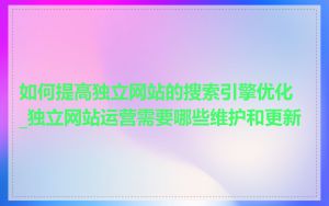 如何提高独立网站的搜索引擎优化_独立网站运营需要哪些维护和更新
