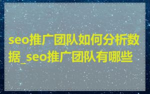 seo推广团队如何分析数据_seo推广团队有哪些