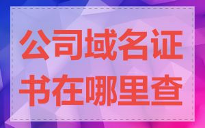 公司域名证书在哪里查