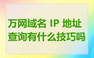万网域名 IP 地址查询有什么技巧吗