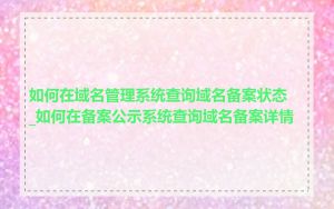 如何在域名管理系统查询域名备案状态_如何在备案公示系统查询域名备案详情