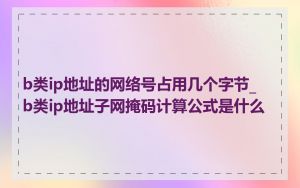 b类ip地址的网络号占用几个字节_b类ip地址子网掩码计算公式是什么