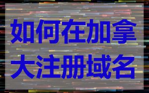 如何在加拿大注册域名