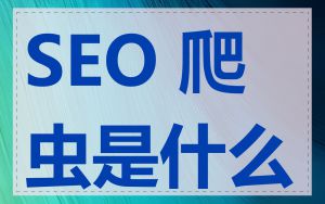 SEO 爬虫是什么