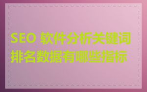 SEO 软件分析关键词排名数据有哪些指标