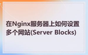 在Nginx服务器上如何设置多个网站(Server Blocks)