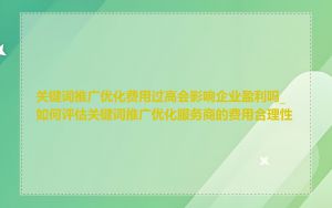 关键词推广优化费用过高会影响企业盈利吗_如何评估关键词推广优化服务商的费用合理性
