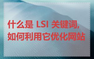 什么是 LSI 关键词,如何利用它优化网站
