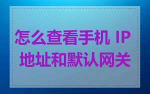 怎么查看手机 IP 地址和默认网关
