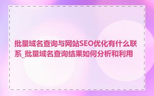 批量域名查询与网站SEO优化有什么联系_批量域名查询结果如何分析和利用