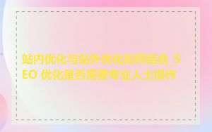 站内优化与站外优化如何结合_SEO 优化是否需要专业人士操作