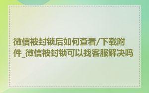 微信被封锁后如何查看/下载附件_微信被封锁可以找客服解决吗